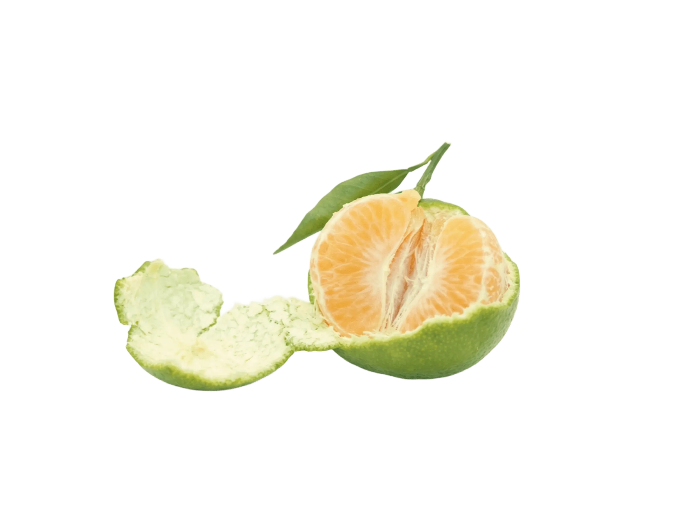 зеленые мандарины